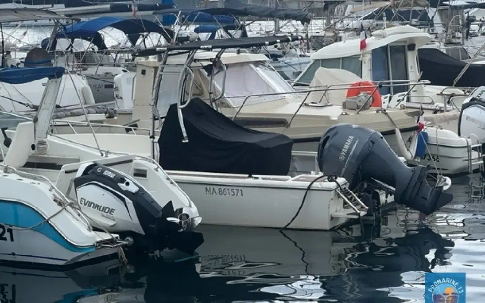 slider 2 Kelt White Shark 215