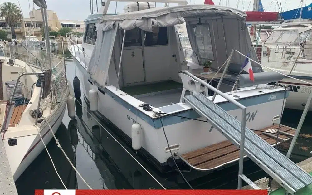 NavimotorsTeaser 31 Sport