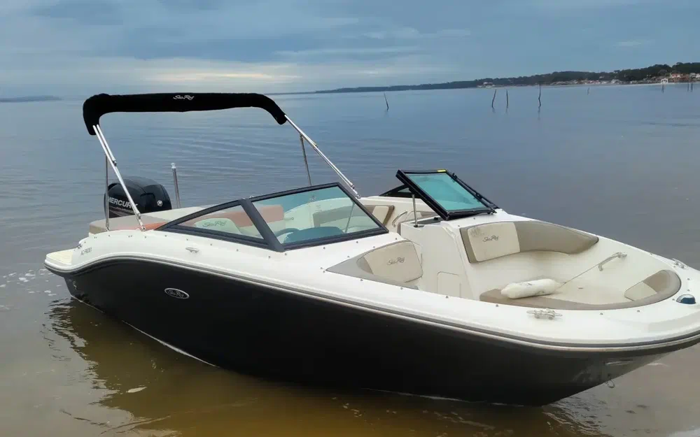 Sea RaySea Ray 19 SPX OB