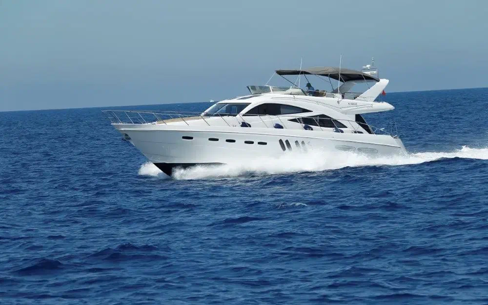 SealineSealine T 60