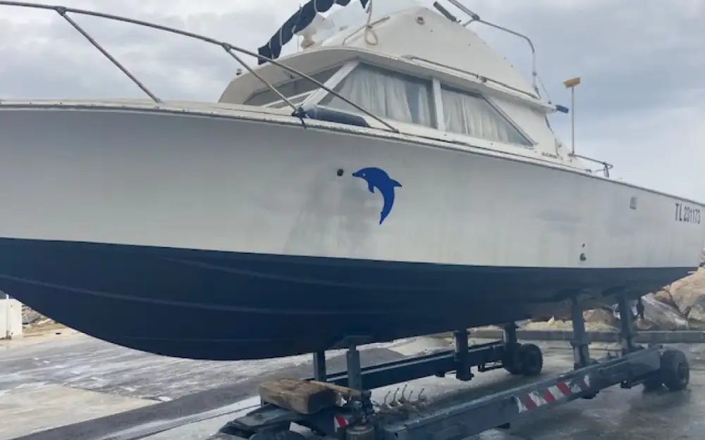 slider 14 Bertram  28 Flybridge