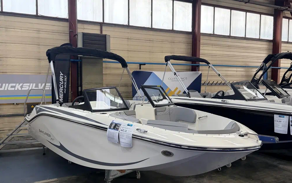 slider 0 Bayliner Element M17