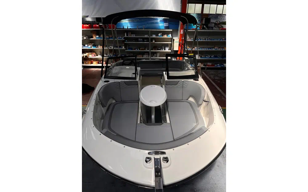 slider 4 Bayliner Element M17