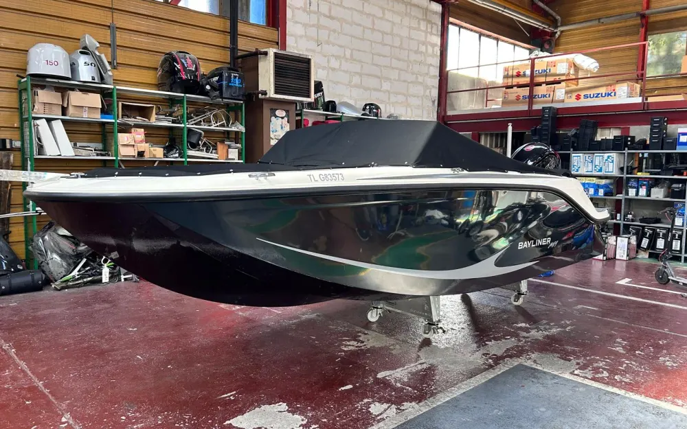 slider 12 Bayliner M19