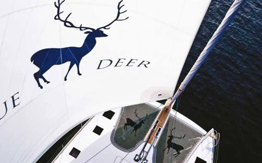 slider 12 Sunreef Yachts Sunreef 74