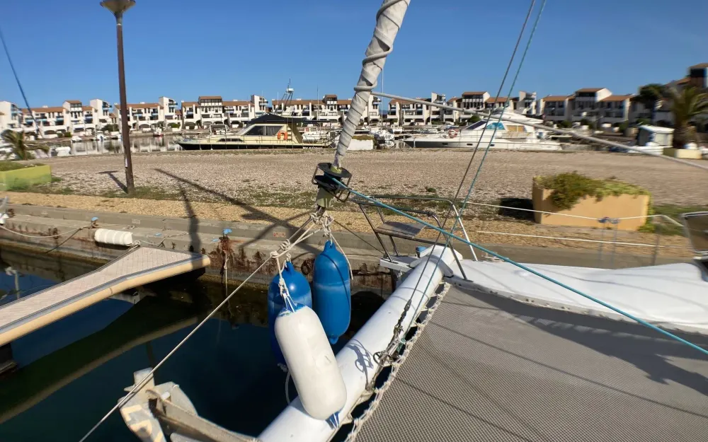 slider 14 Edel  Cat 33