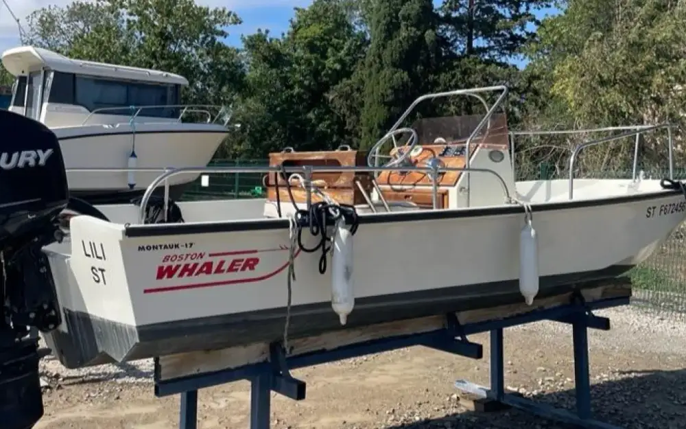 Boston WhalerBoston Whaler 17 Montauk