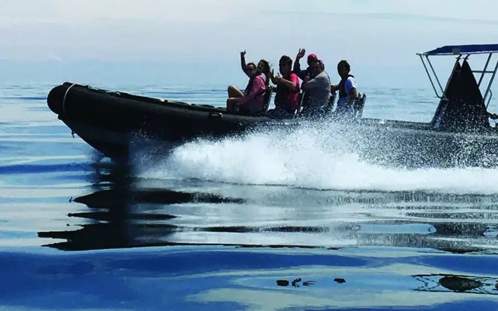 Blue SpiritPatrol 900