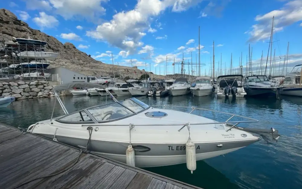 StingrayStingray 225 CR