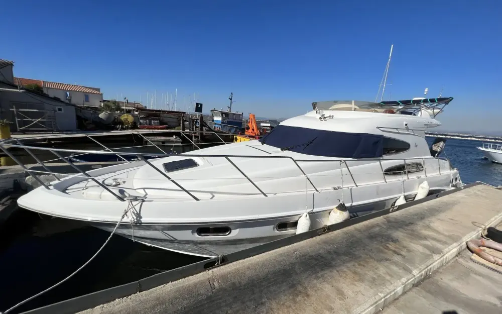 SealineSealine T 46