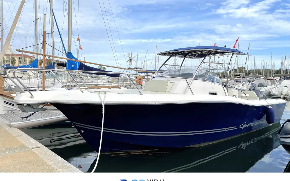 White SharkWhite Shark 298