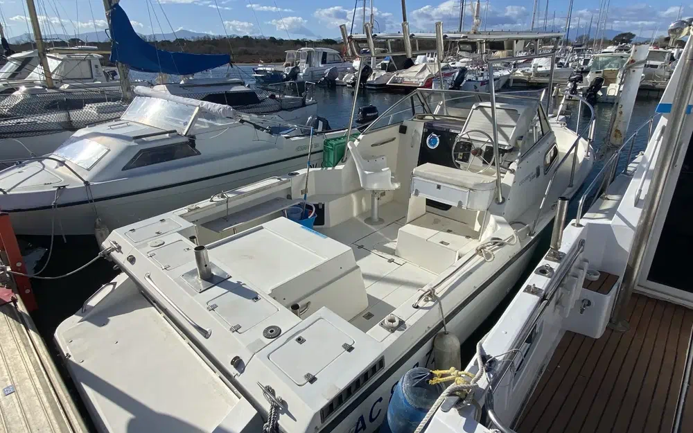 CelebrityCelebrity 2300