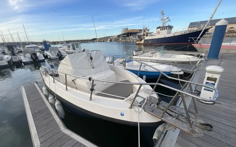 RioRio 630 Cabin Fish