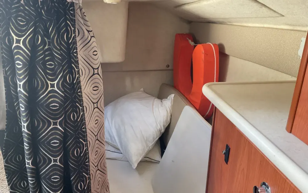slider 6 Bayliner  275