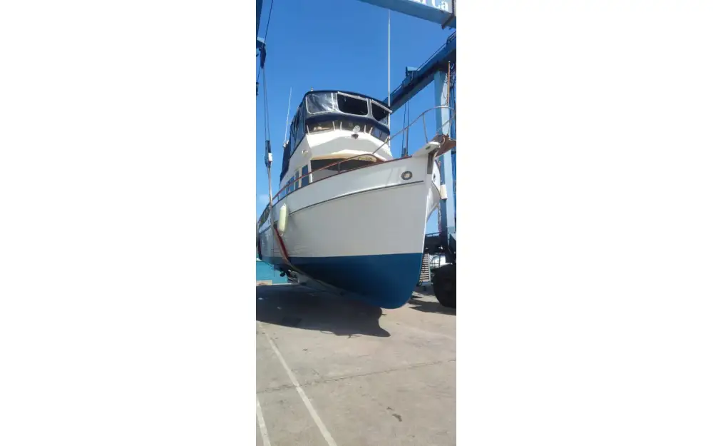 slider 3 Grand Banks  42