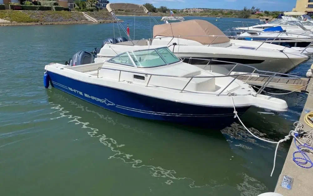 KeltWhite Shark 236