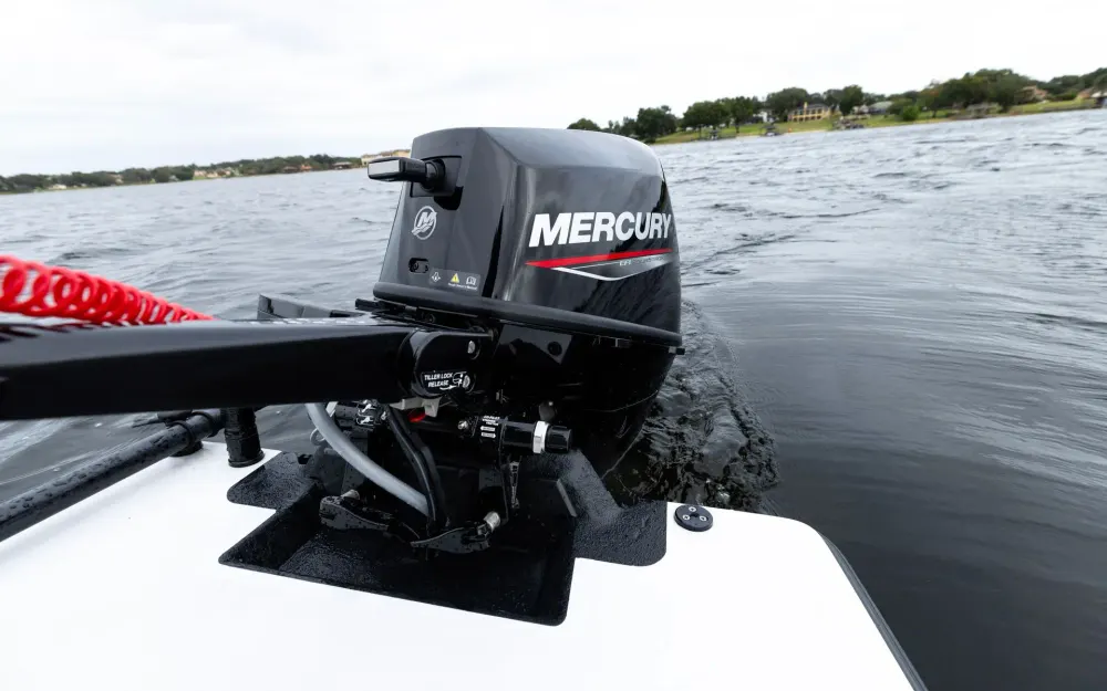 slider 2 Mercury 9.9 cv efi