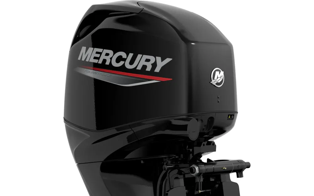 slider 4 Mercury 60 cv efi
