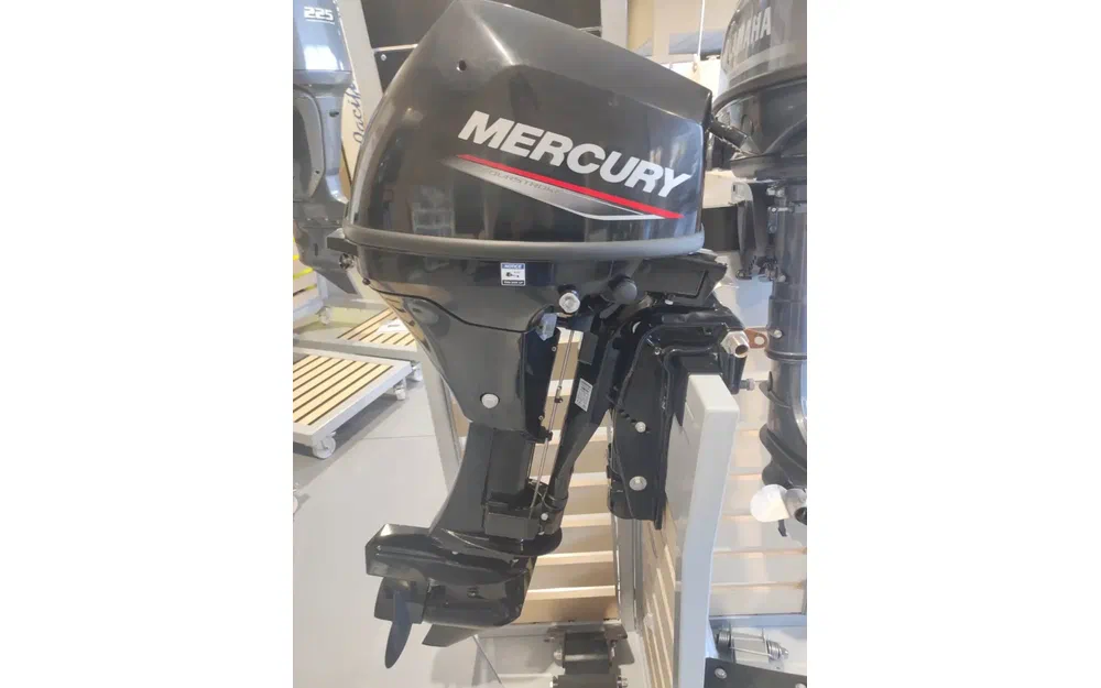 slider 0 MERCURY F9.9ELPC