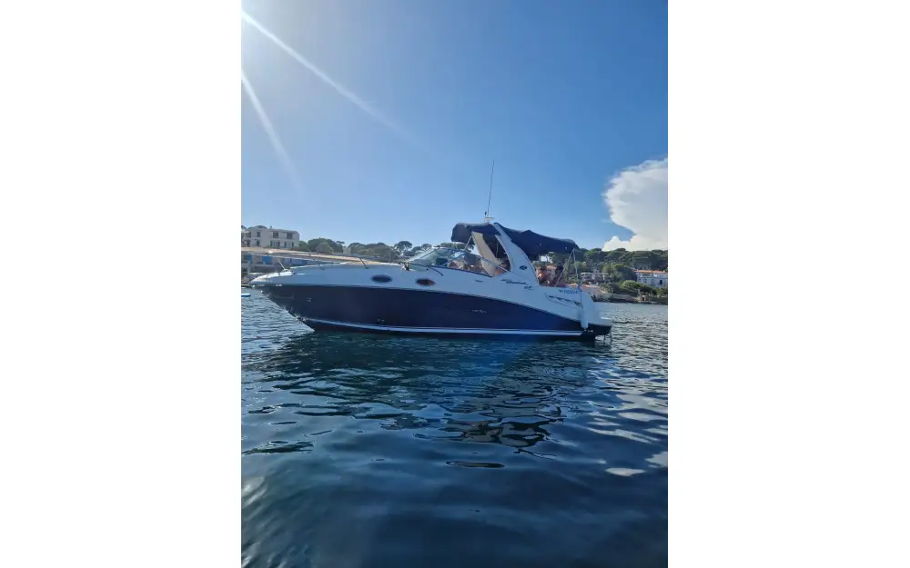 slider 7 Sea Ray  275 Sundancer