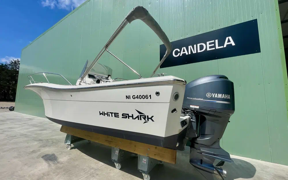 slider 8 White Shark 230 CC