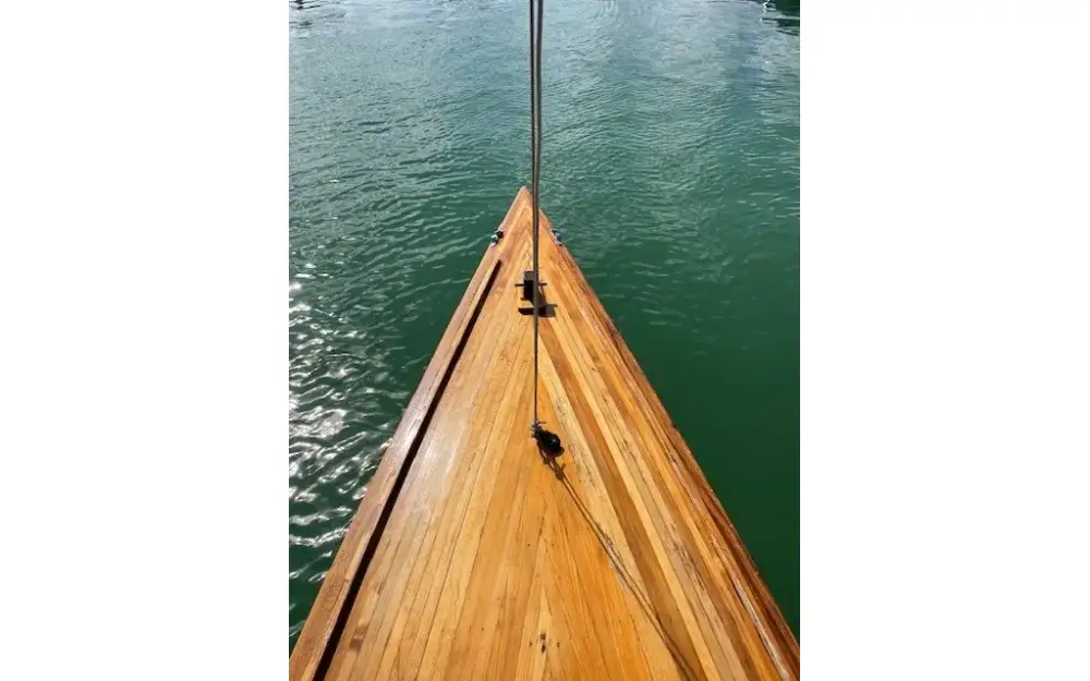 slider 5 Pouvreau Requin