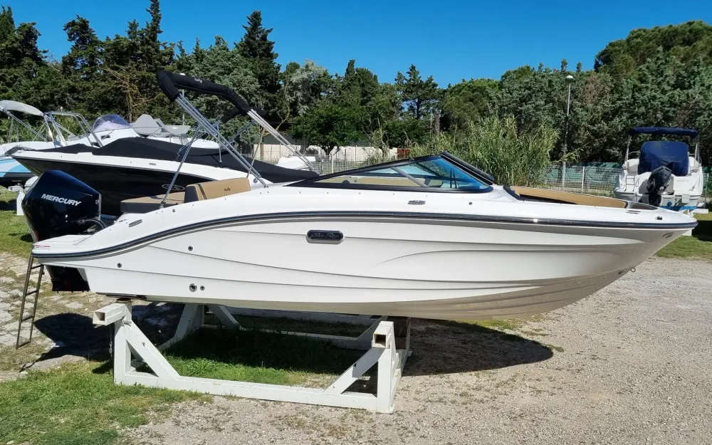 Sea Ray SPX 210 OB