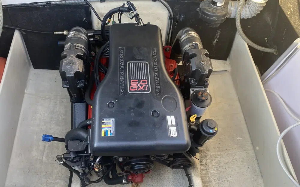 slider 22 Tofinou Lady Scarlett