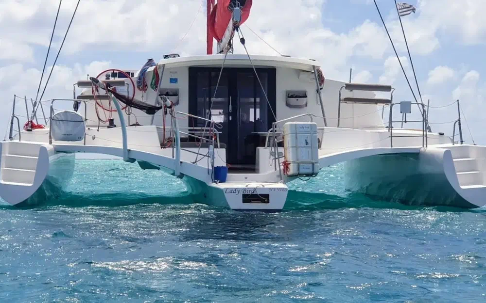 Neel TrimaransNeel 45