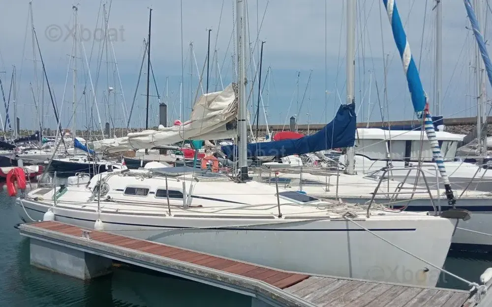 ElanElan 31