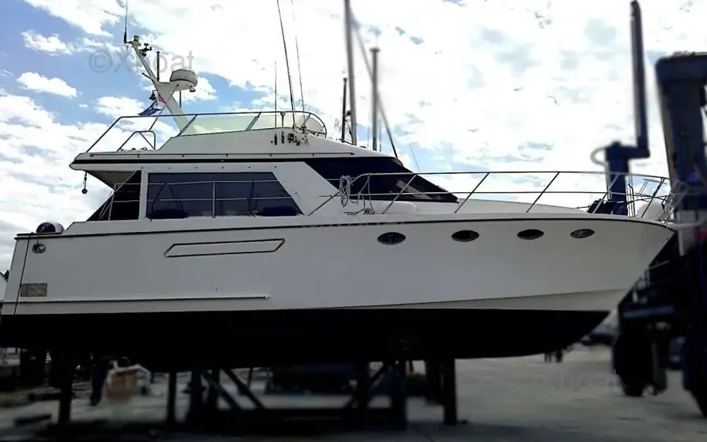 OceanOcean 39