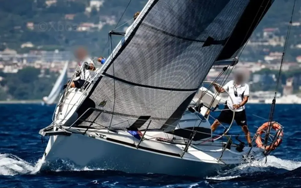 CobraCobra 33