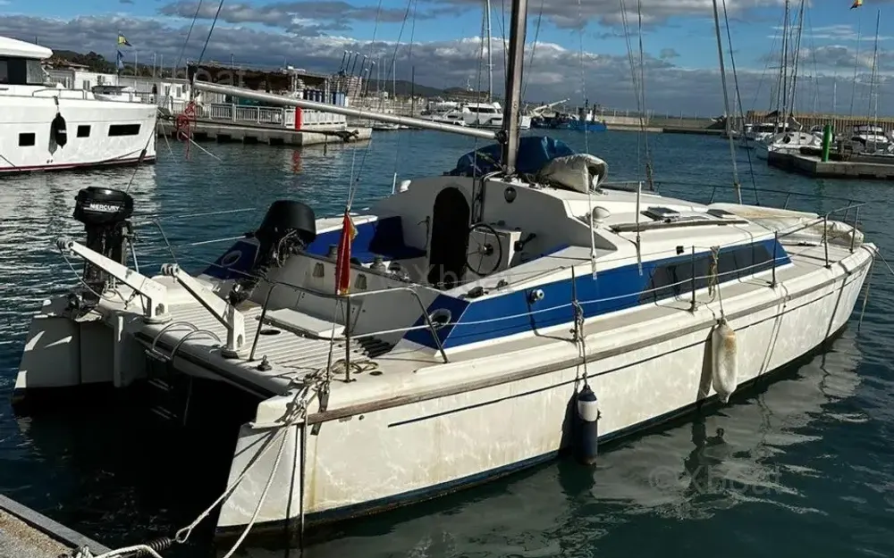 ProutSnowgoose 37