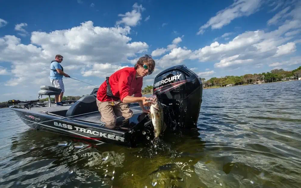 slider 0 Mercury 100