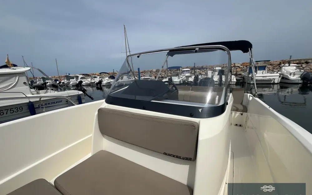 slider 15 Quicksilver  675