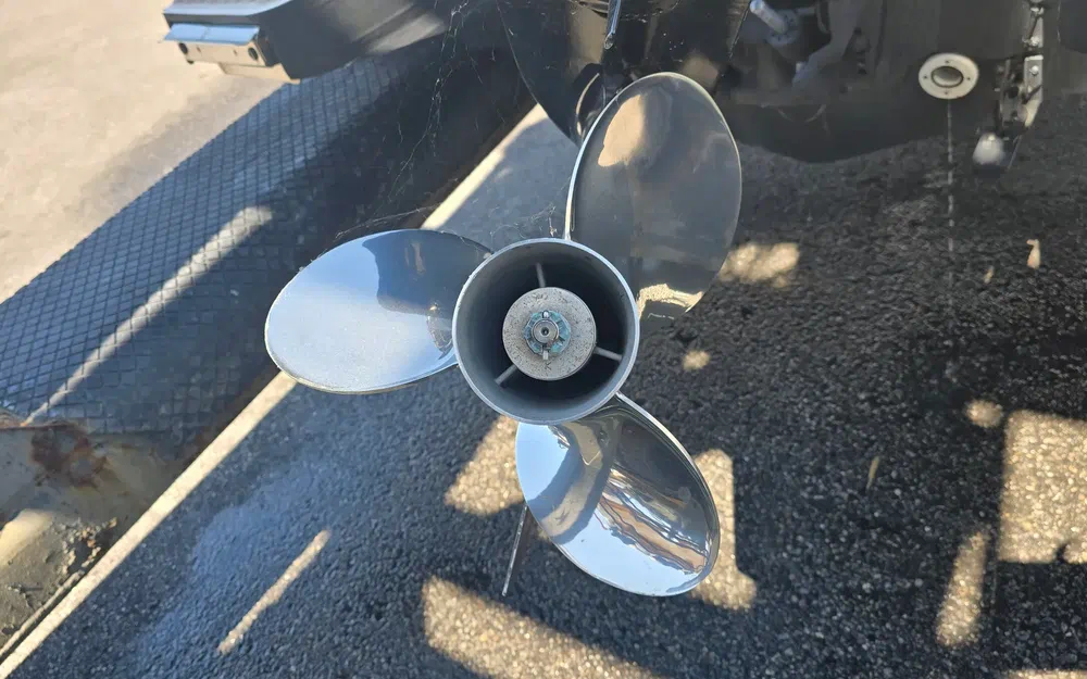 slider 7 Zar Formenti Zar 61