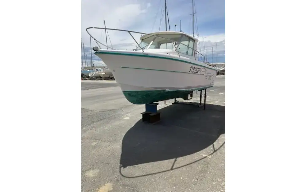 slider 1 Ocqueteau  645 timonier