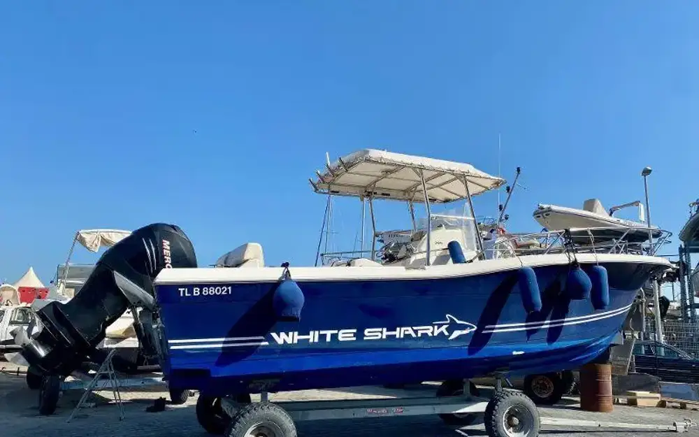 slider 2 White Shark  285