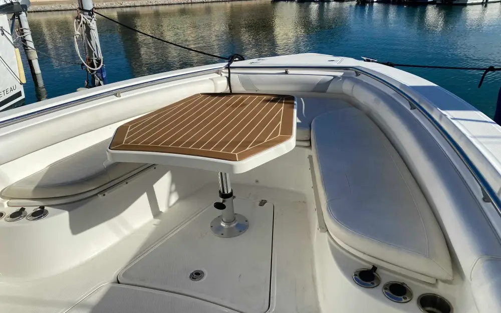 slider 18 Boston Whaler  320 Outrage