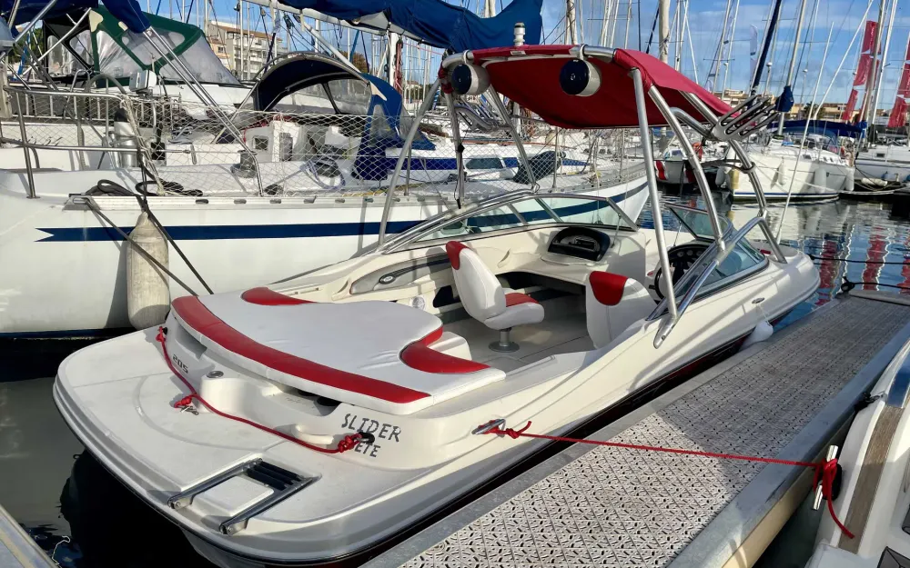 slider 13 Sea Ray  205 Sport