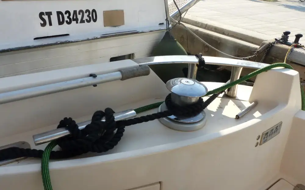 slider 29 Rodman  54 Muse