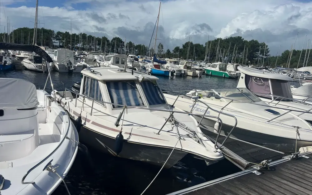 GuymarineGM 650