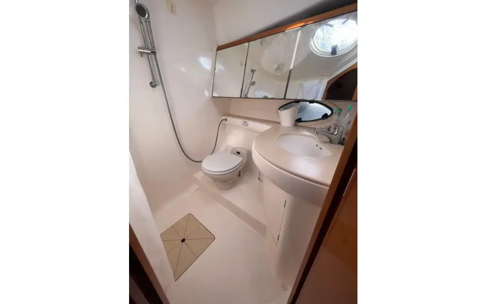 slider 18 ACM Dynasty 43