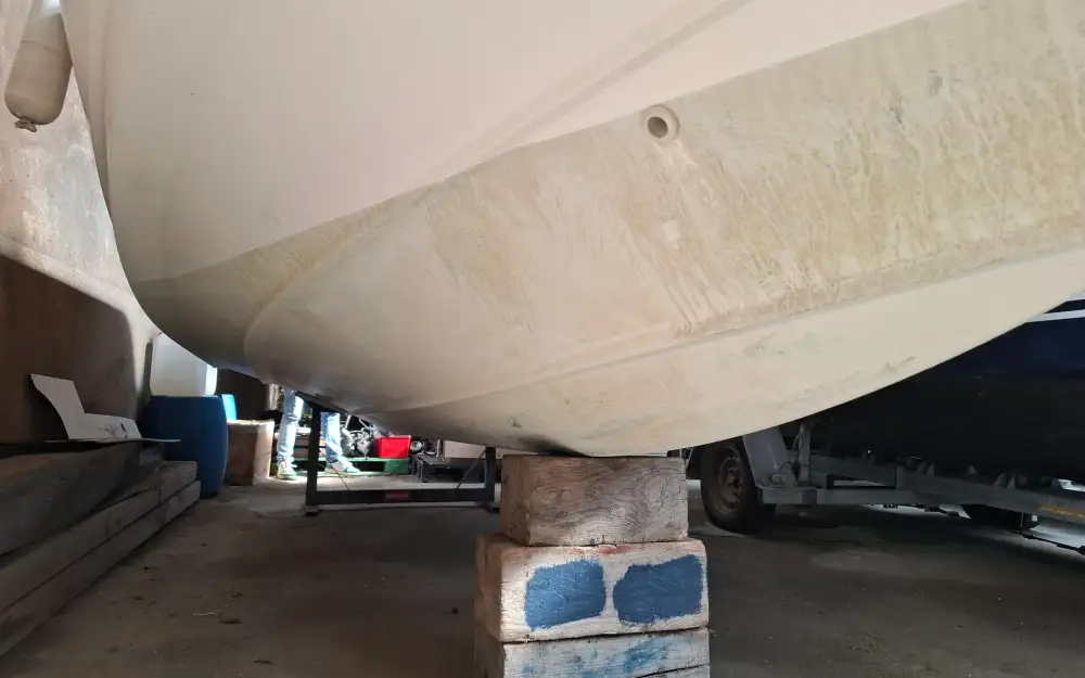 slider 23 Boston Whaler  20 Outrage