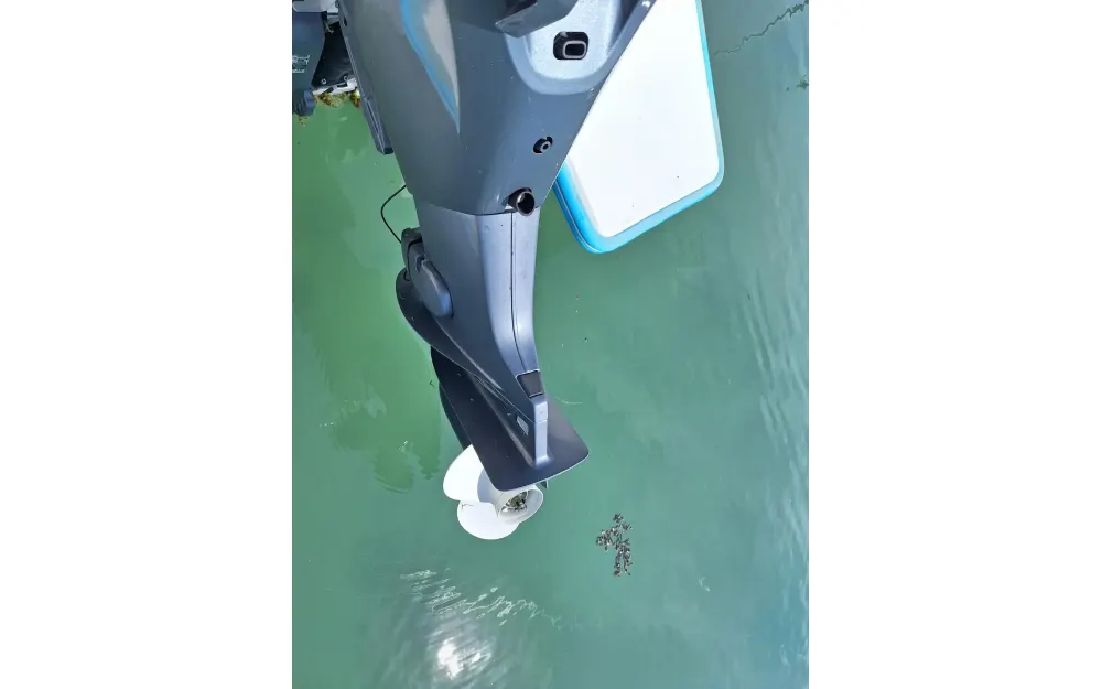 slider 3 Guymarine GM 570 Chalutier