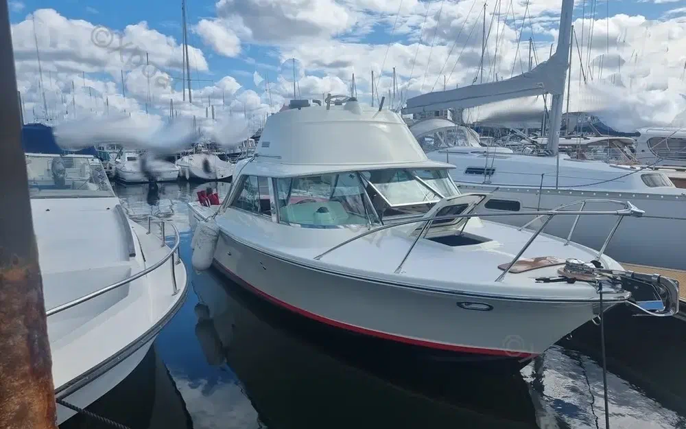 slider 1 Bertram Riva 25