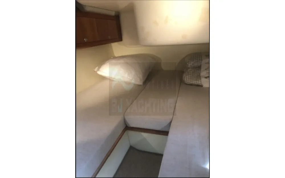 slider 14 ACM Excellence 38