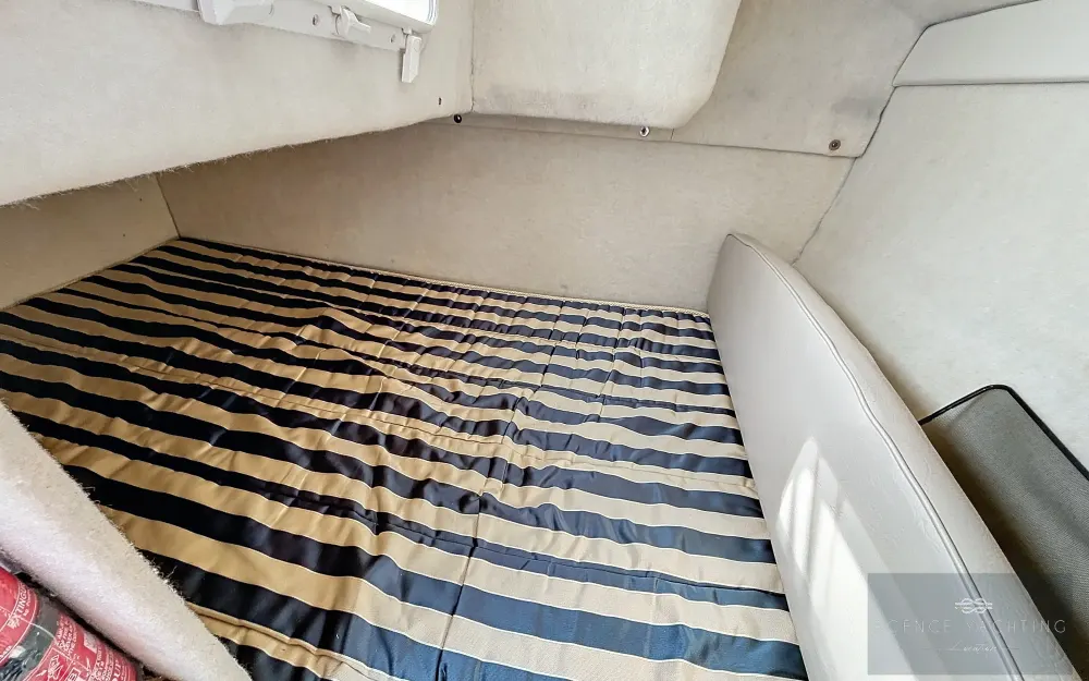 slider 12 Bayliner  245 SB - null