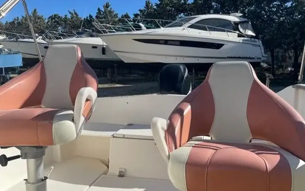 slider 17 Quicksilver  540 Cruiser