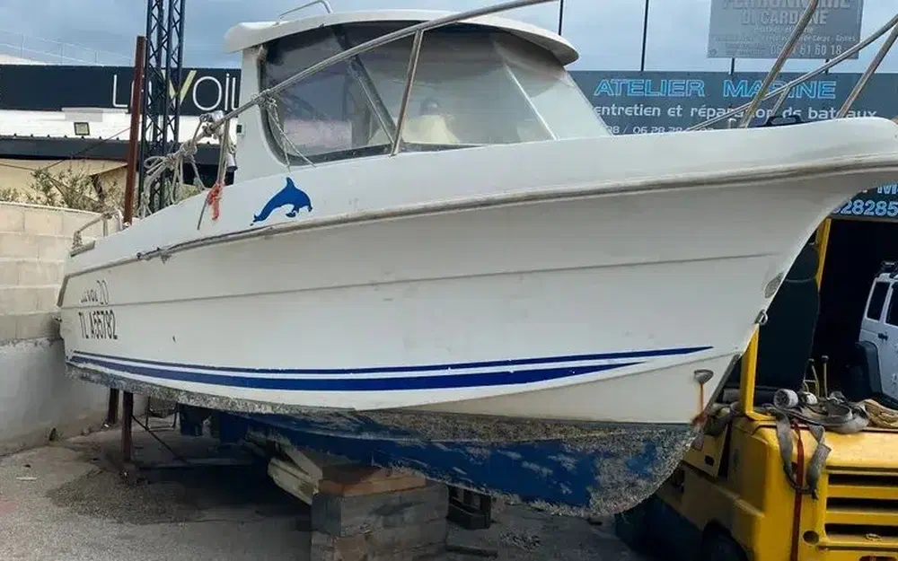 BaltArvor 20